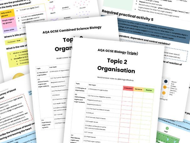 Topic 2 Organisation model answer revision notes AQA GCSE Biology