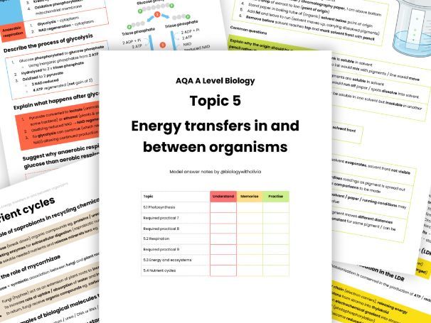 NEW Topic 5 Energy transfers in & between organisms model answer revision notes AQA A Level Biology