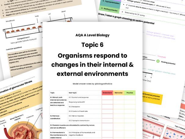 NEW Topic 6 Organisms respond to stimuli model answer revision notes AQA A Level Biology