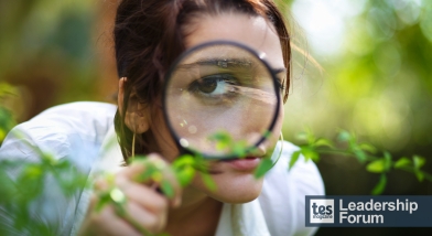 Middle leader tips: how to assess your year