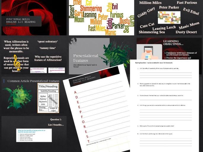 New Functional Skills English - Language Features Intro & Reading Skills for Exam