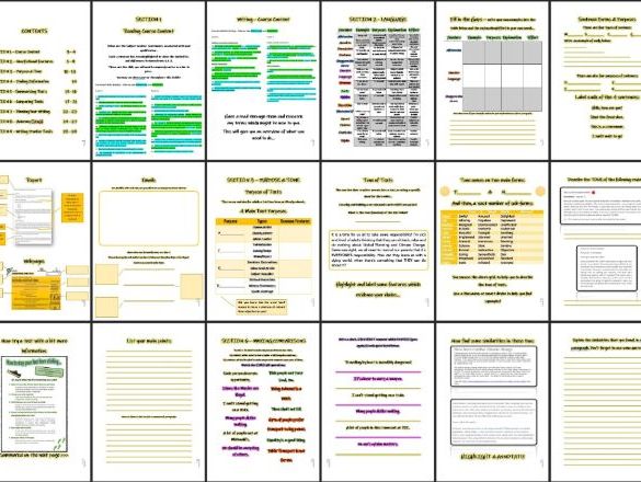 New Functional Skills English - 30 page Revision Workbook & PPT