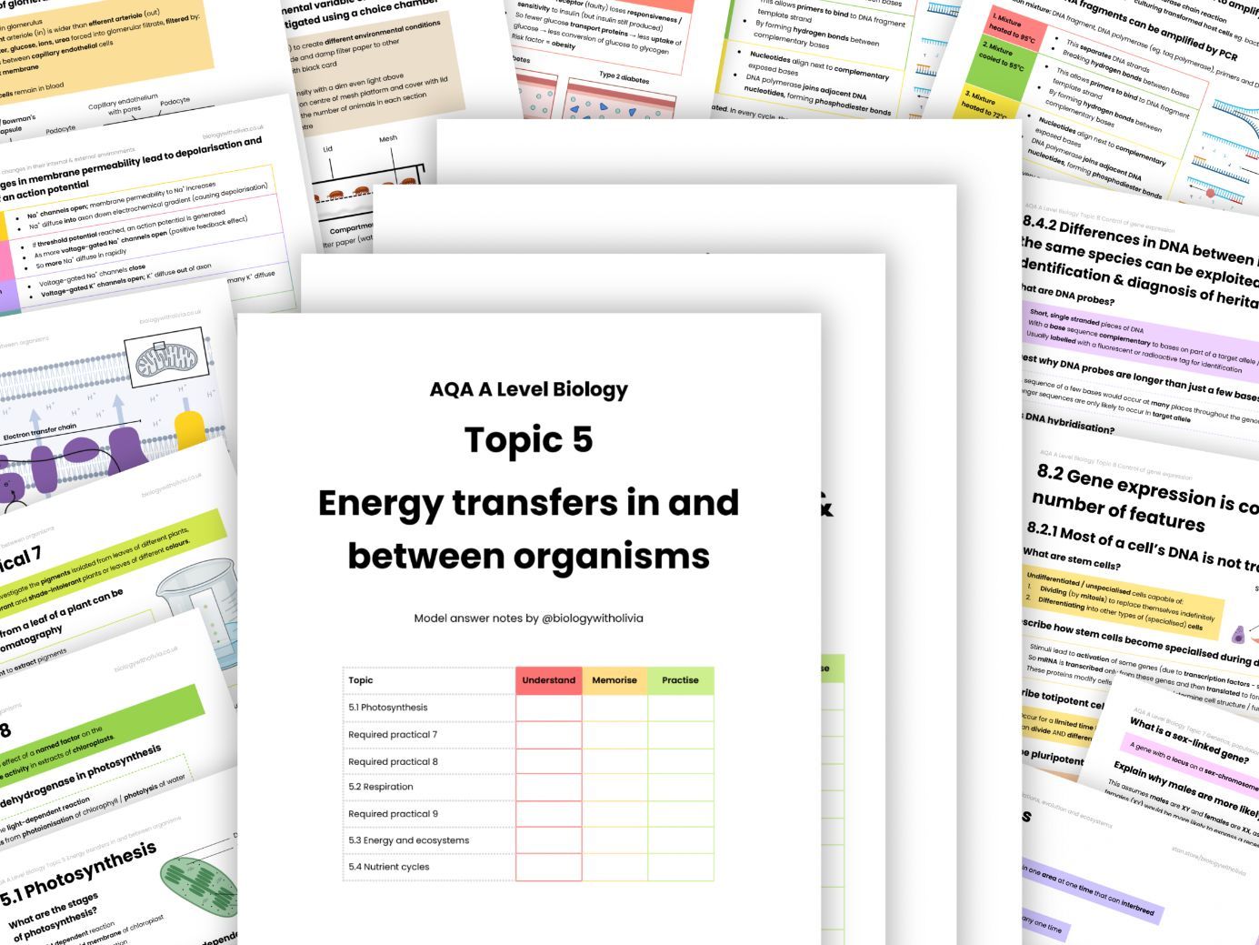 NEW AQA A Level Biology Year 2 Model Answer Notes Topics 5-8