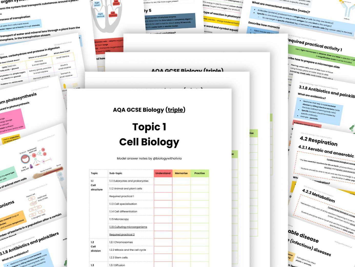 Paper 1 AQA GCSE Biology model answer revision notes