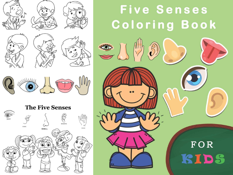 Five Senses Coloring Pages – Printable Learning Activities for Kids