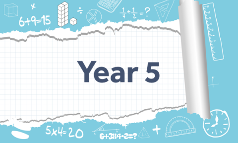 Year 5 maths mastery resource packs